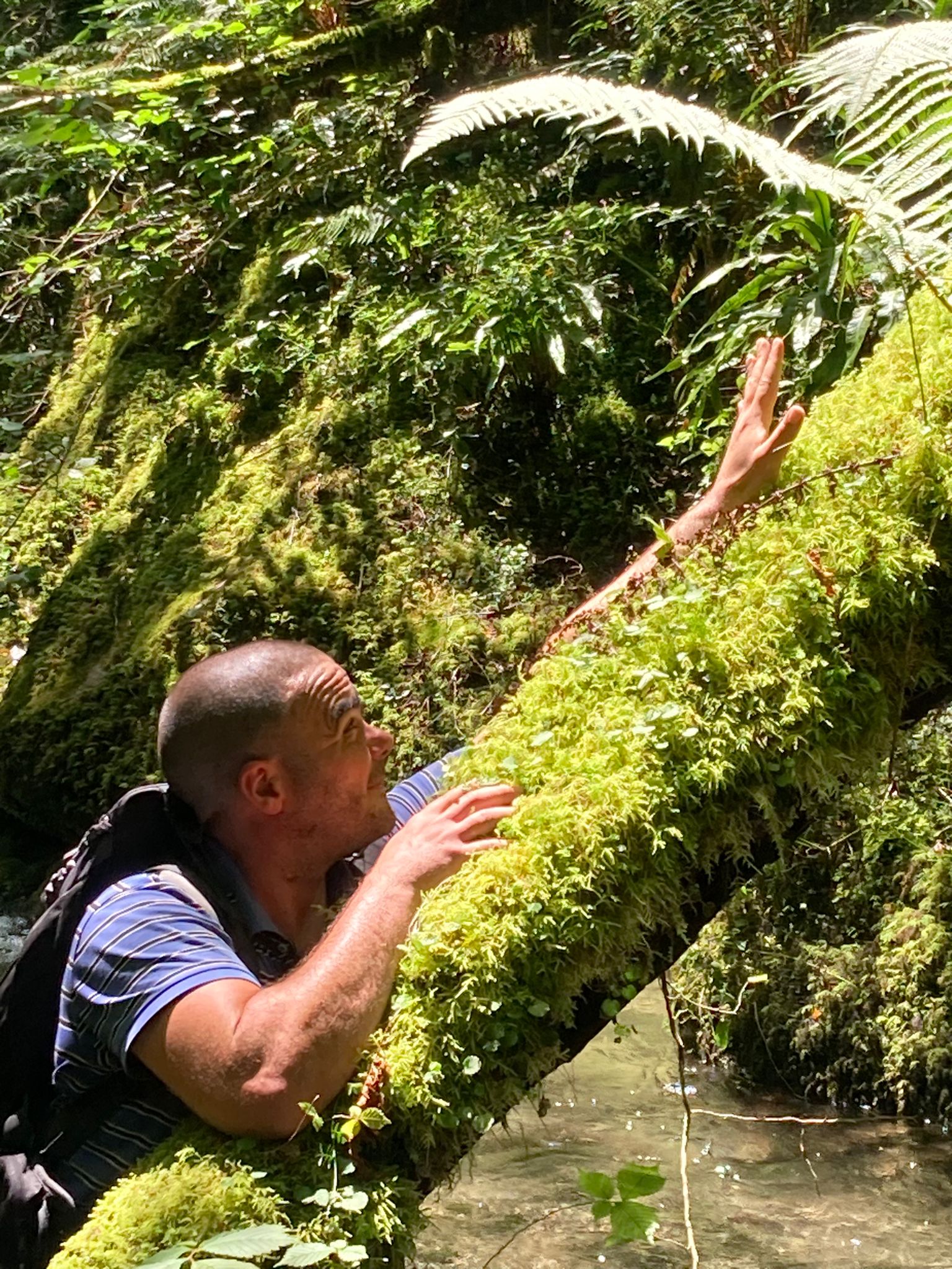 Salimou, 41 ans, Saint-Paul-en-Forêt